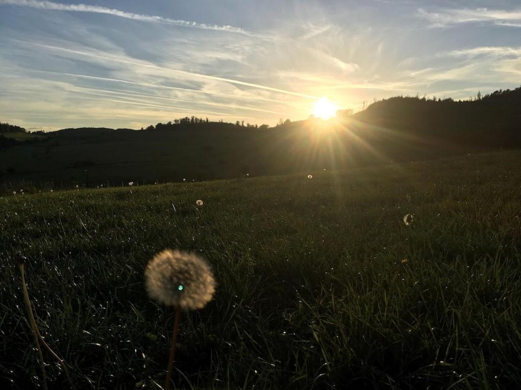 Ferienwohnung Natur Pur Im Schoenen Sauerland Allendorf  Exterior foto